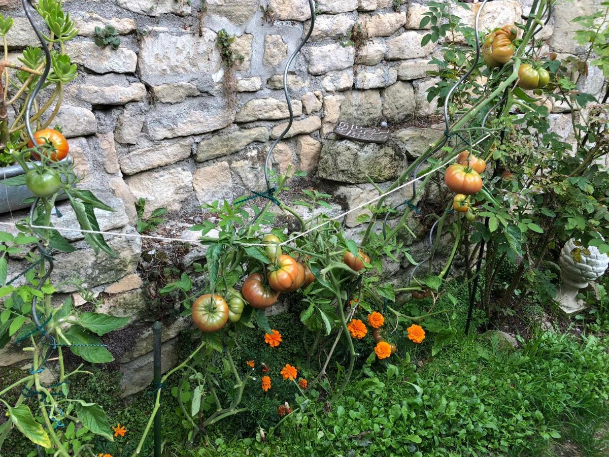 44 Rue Cap Bed and Breakfast Caen Buitenkant foto
